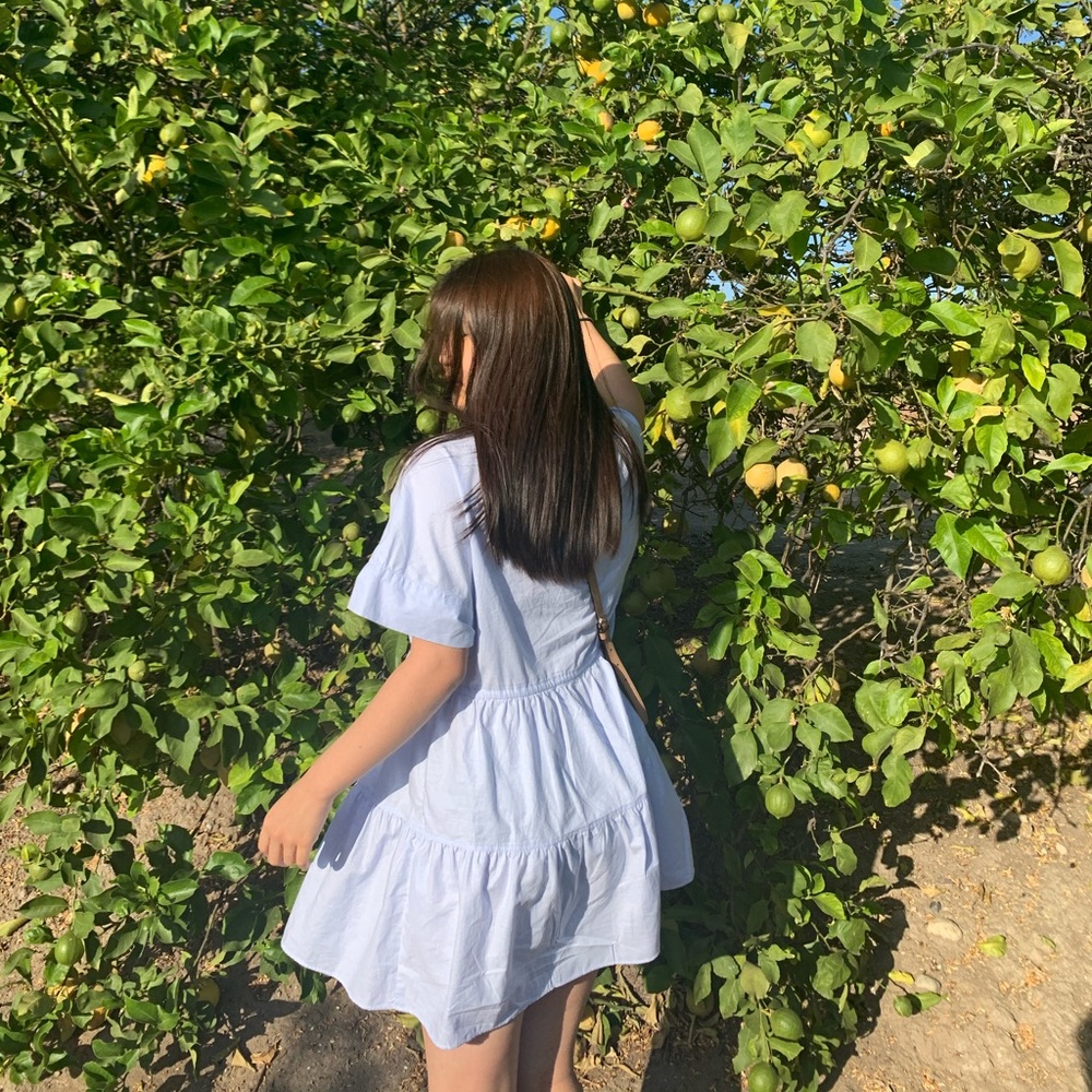 ZARA BLUE DRESS